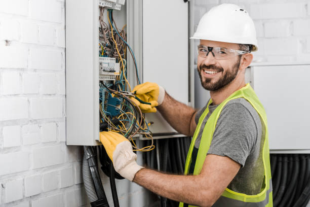 Best Electric Panel Repair  in Le Claire, IA